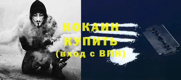 индика Аркадак