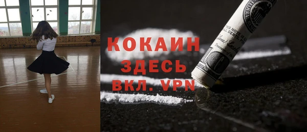 соль ск Алзамай