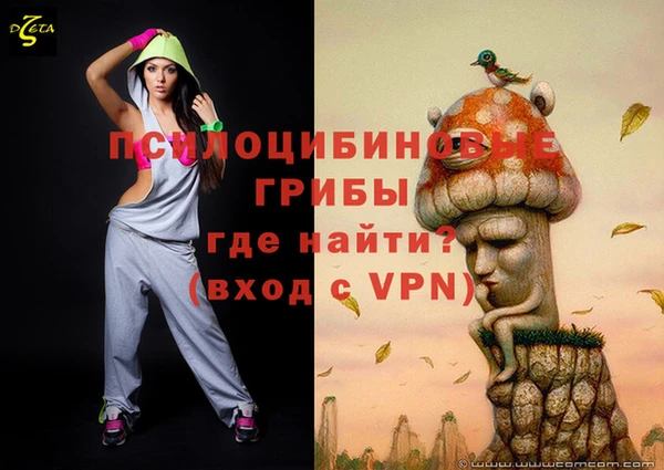 соль ск Алзамай