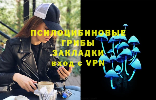соль ск Алзамай