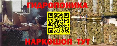 прущая мука Жуковский