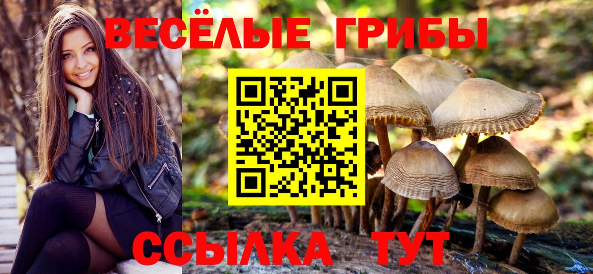 Галлюциногенные грибы мицелий Волхов