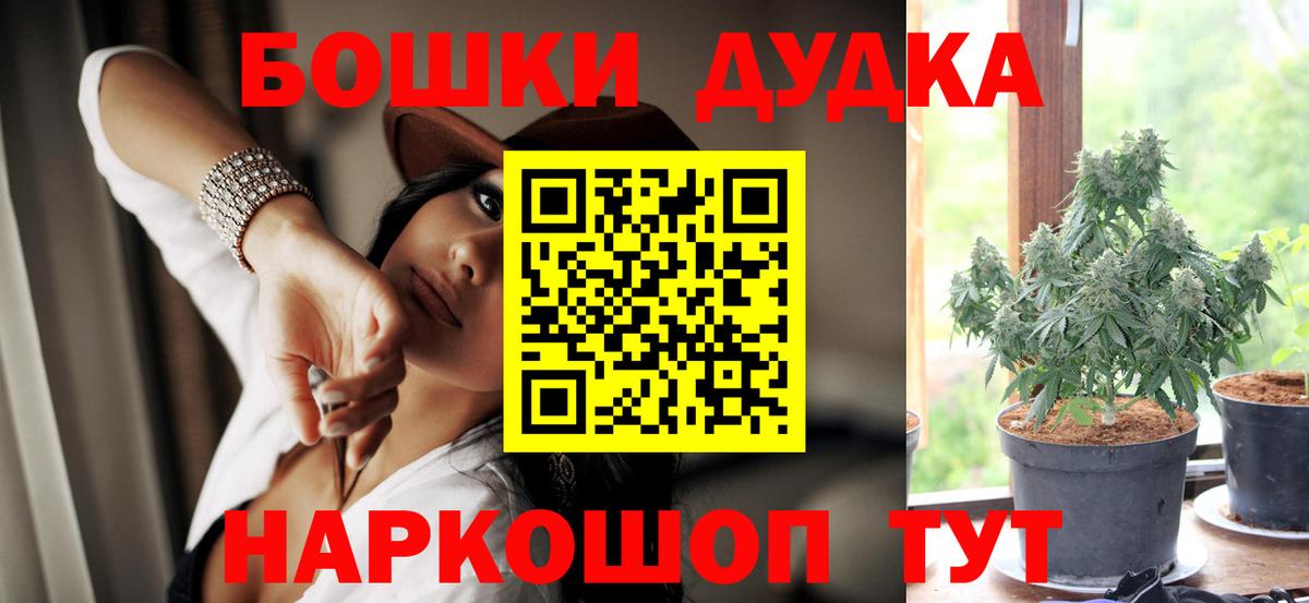 Конопля сатива Волхов